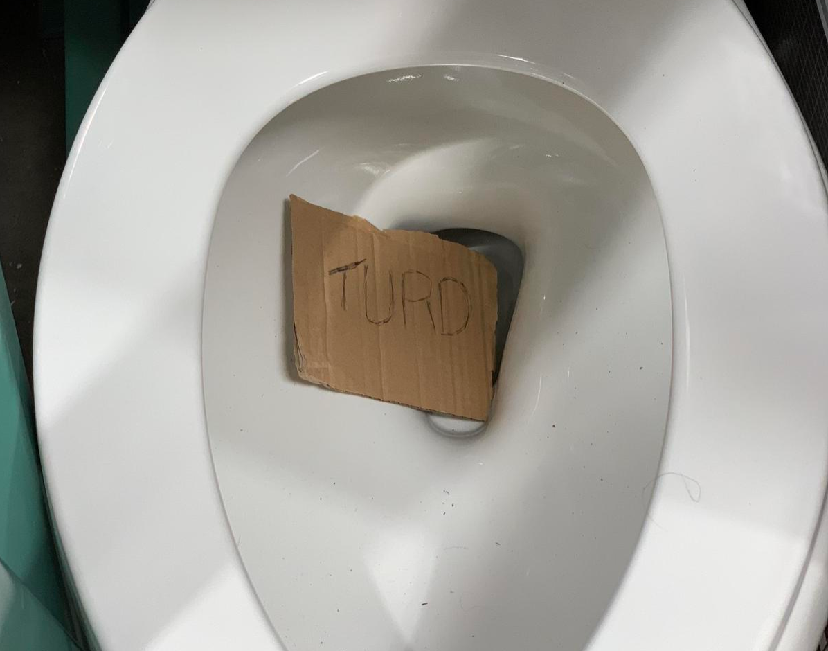 toilet turd
