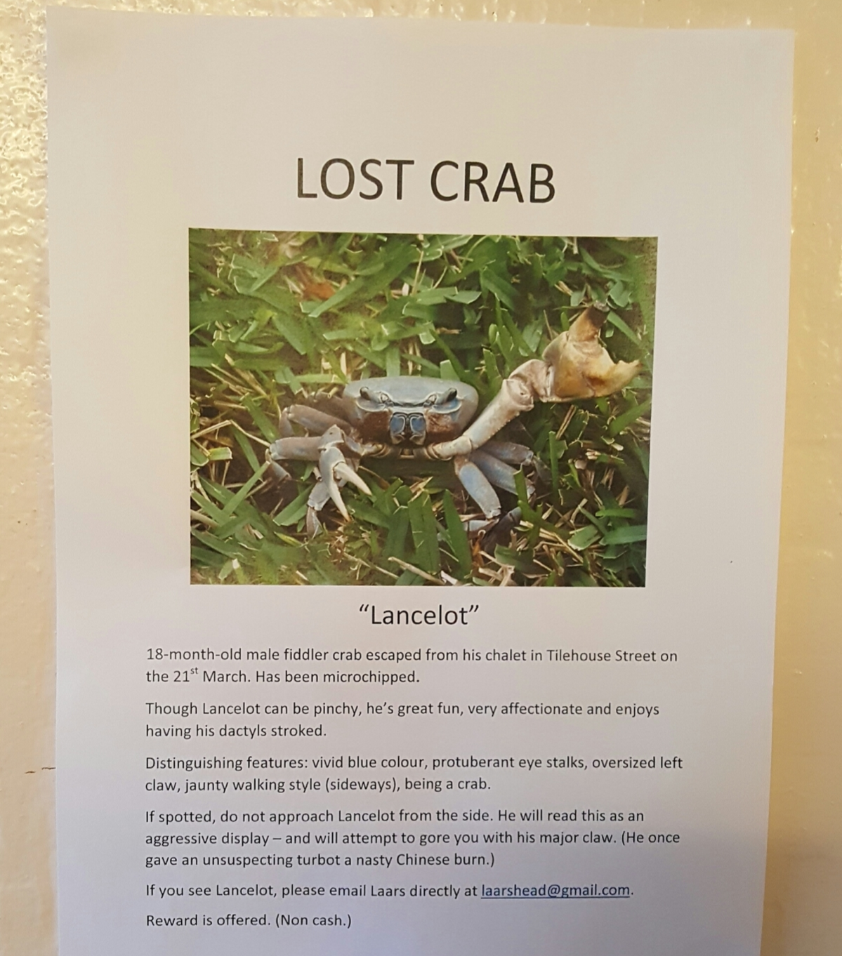 lost crab sign for a lost crab