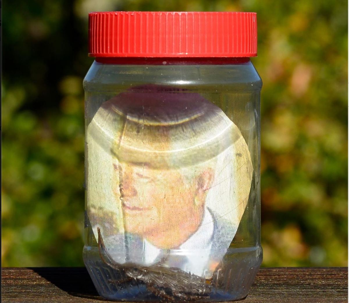 the five friends' jar with a photo and a cockroach