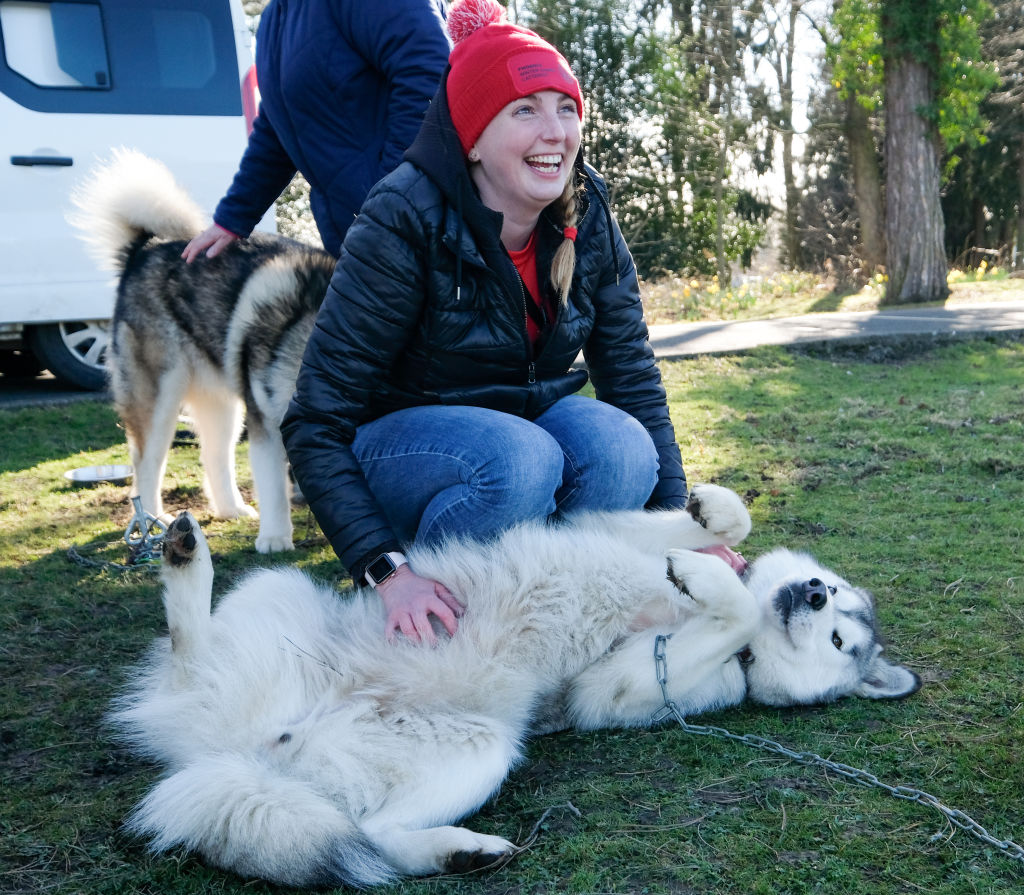  A veteran reacts as she strokes an Alaskan Malamute sled dog 