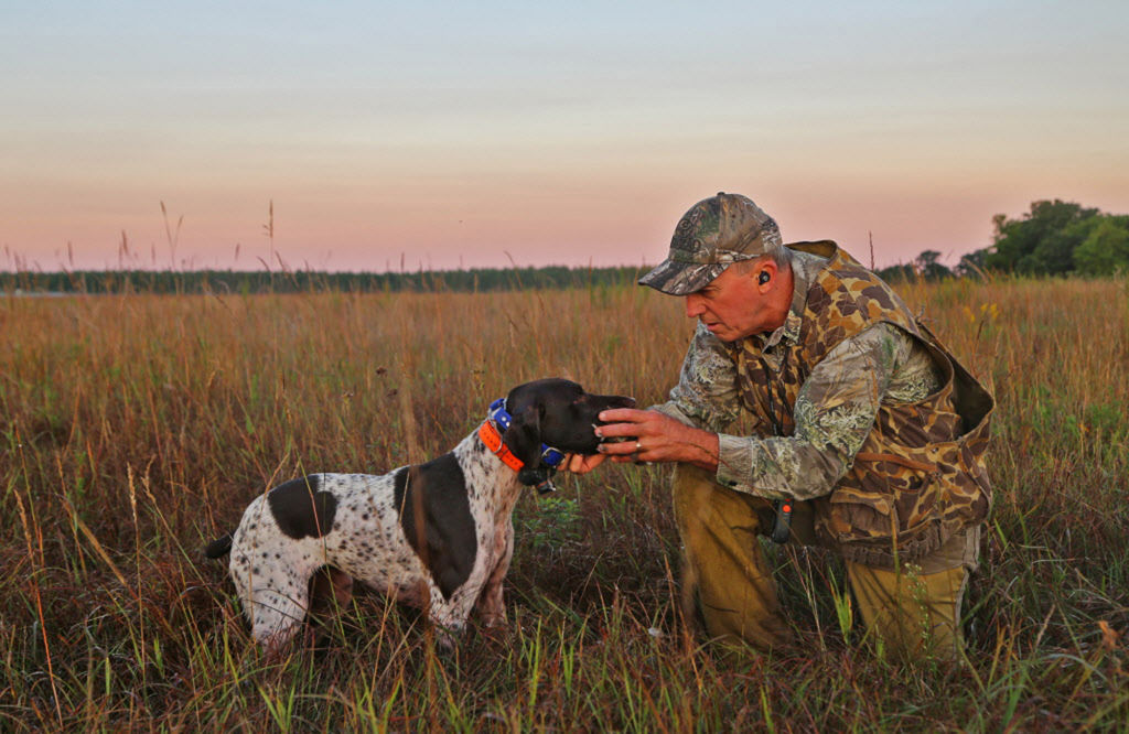 Rolf Moen of Brainerd receives a dove from his German shorthaired pointer, Sally,