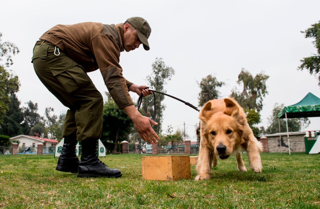 GettyImages-1051887942