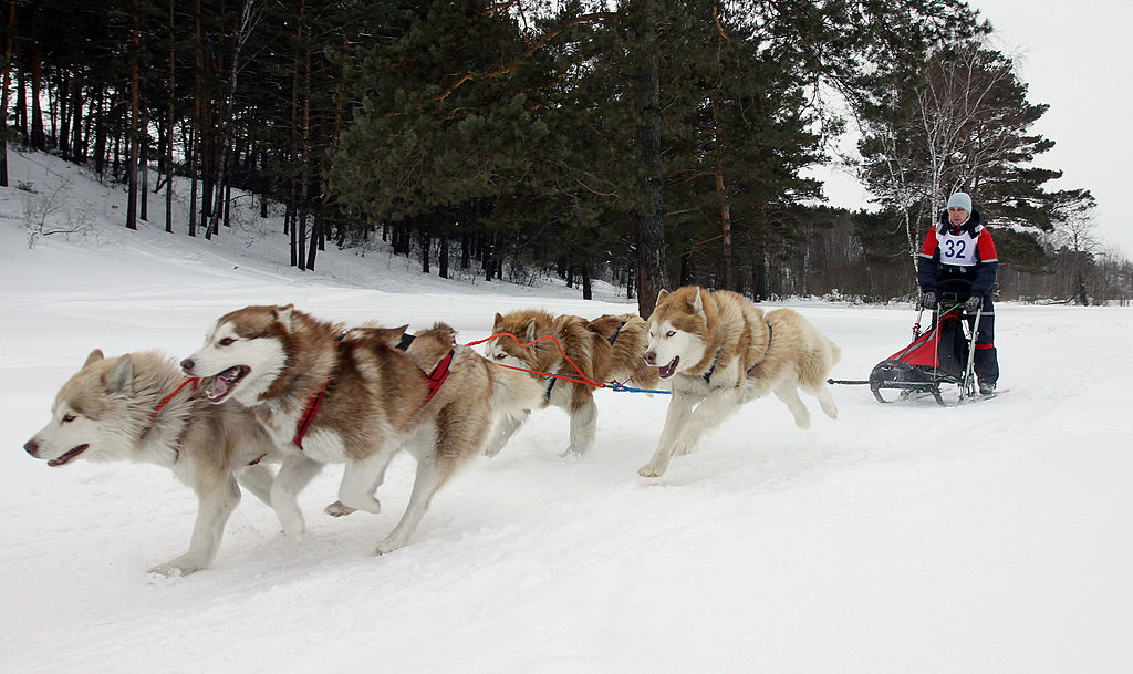 GettyImages-110489564