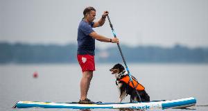 These Are The Smartest Dogs Breeds, Did Yours Make The List?