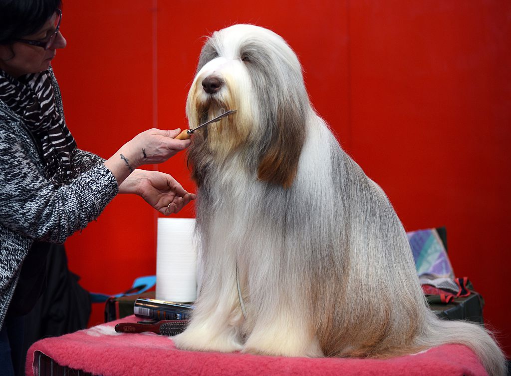 GettyImages-465379826