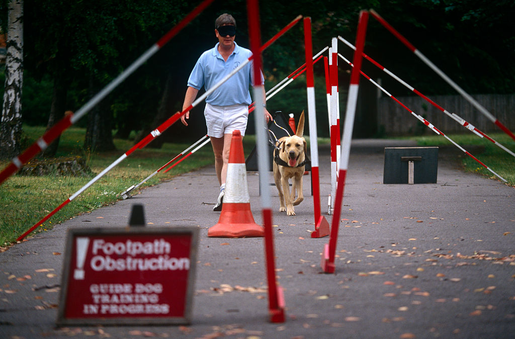 GettyImages-527509038