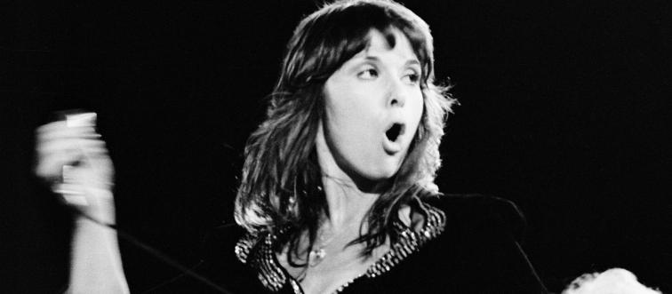 a photo of ann wilson performing