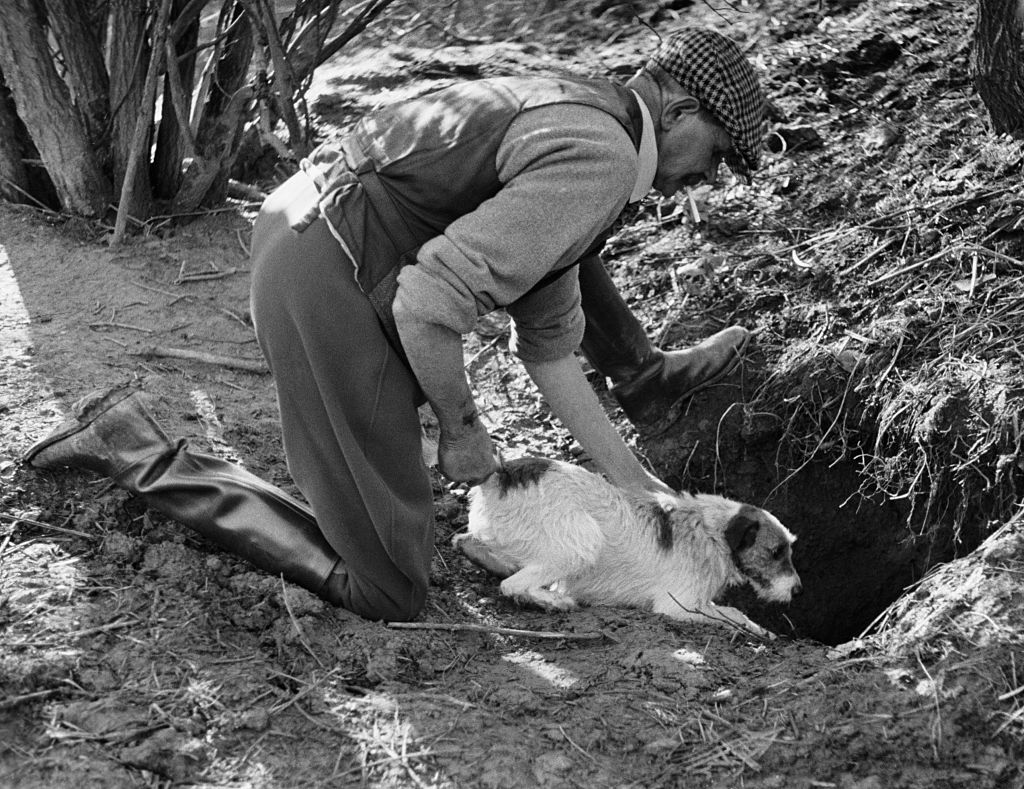 GettyImages-613481036