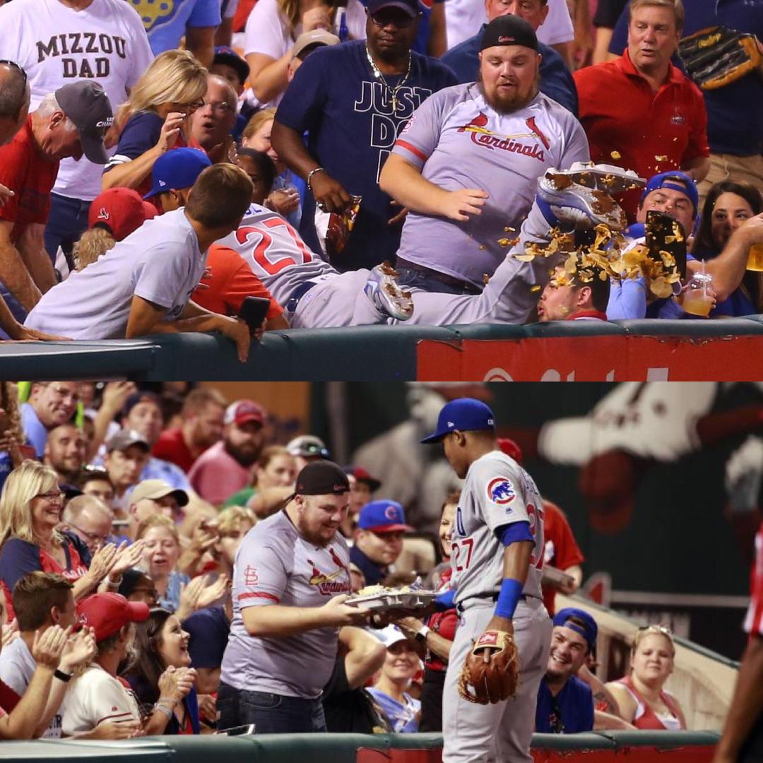 baseball fan loses his nachos