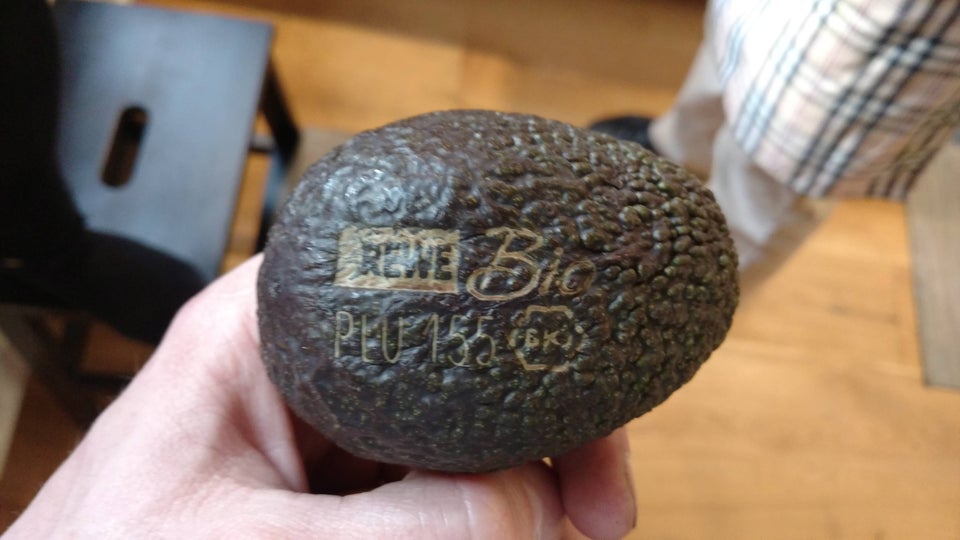 engraved avocado
