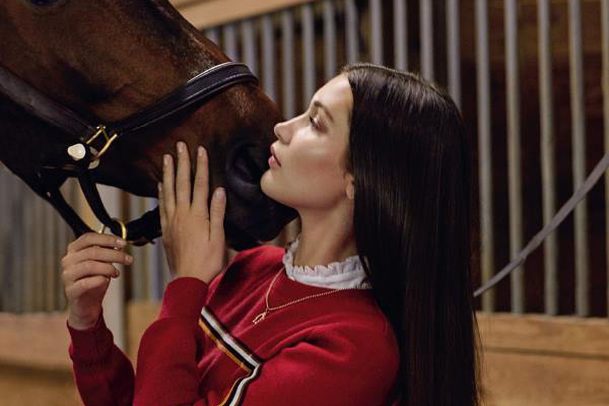 hold your horses bella-hadid.0