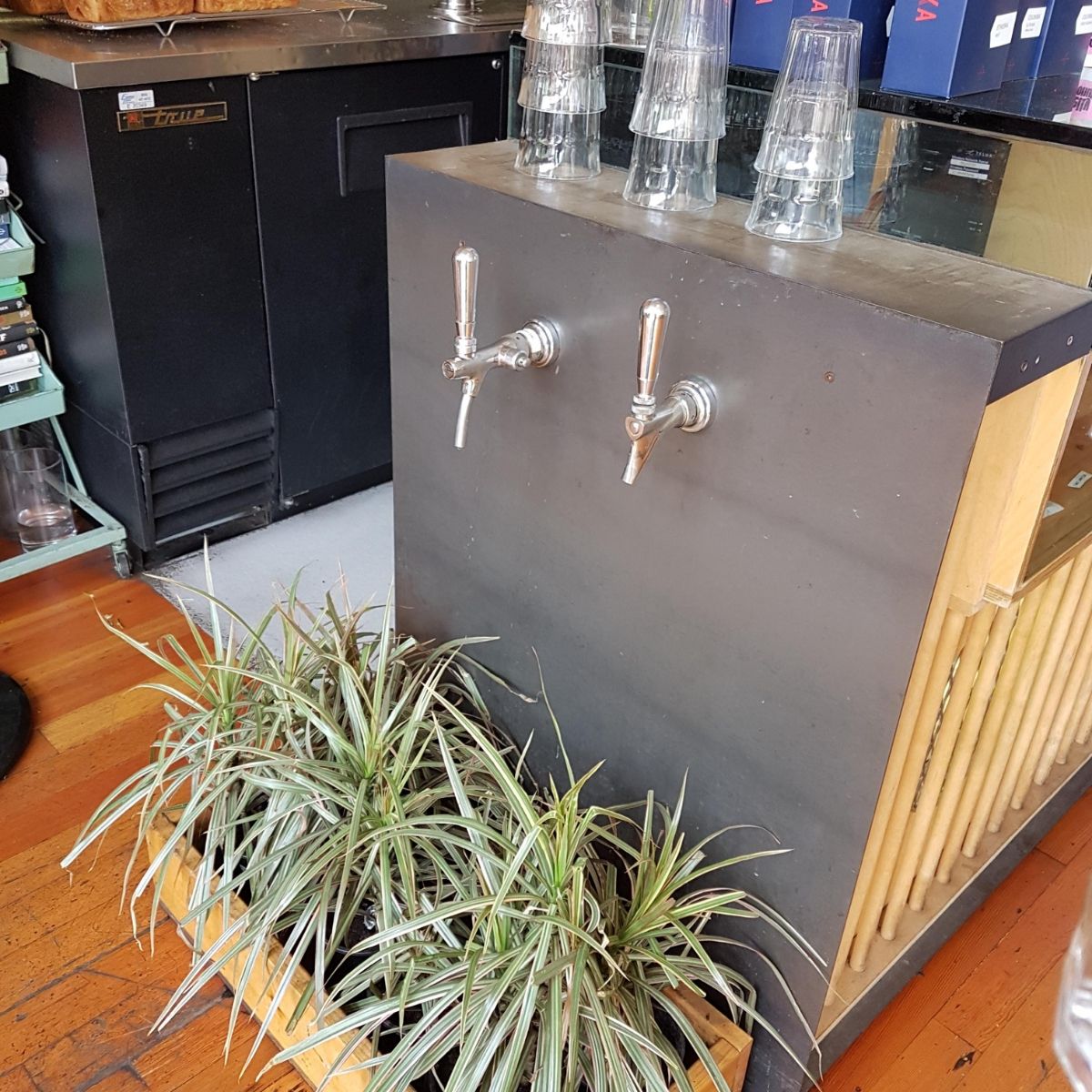 plants beneath taps that use excess water