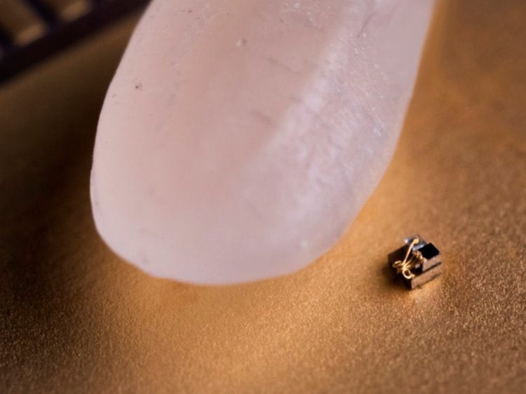 smallest computer compared to grain of rice