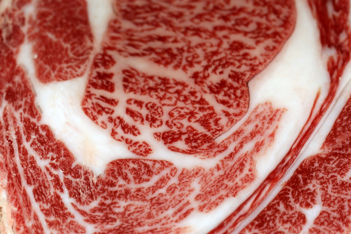 cheap kobe beef