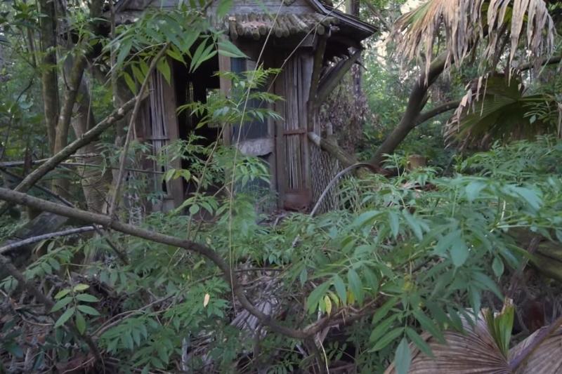 Discovery Island Discovery Island