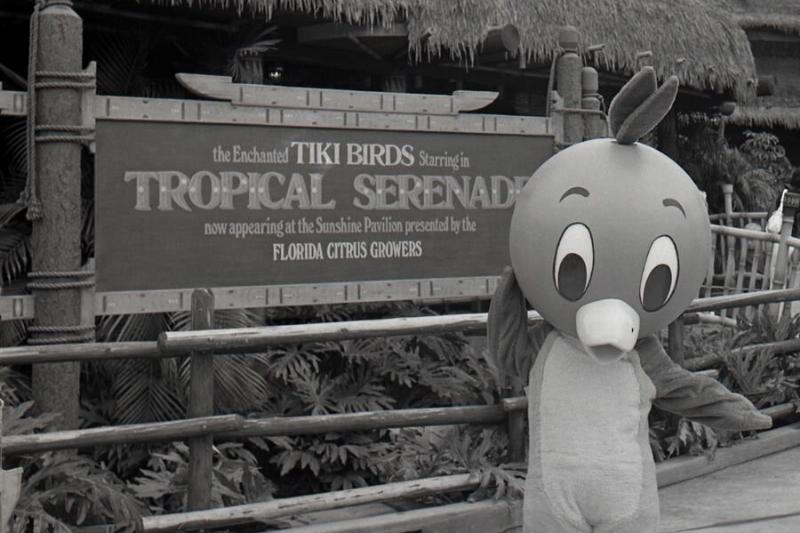 Orange_Bird_hanging_out_in_Adventureland_back_in_J-45520 Orange_Bird_hanging_out_in_Adventureland_back_in_J-45520