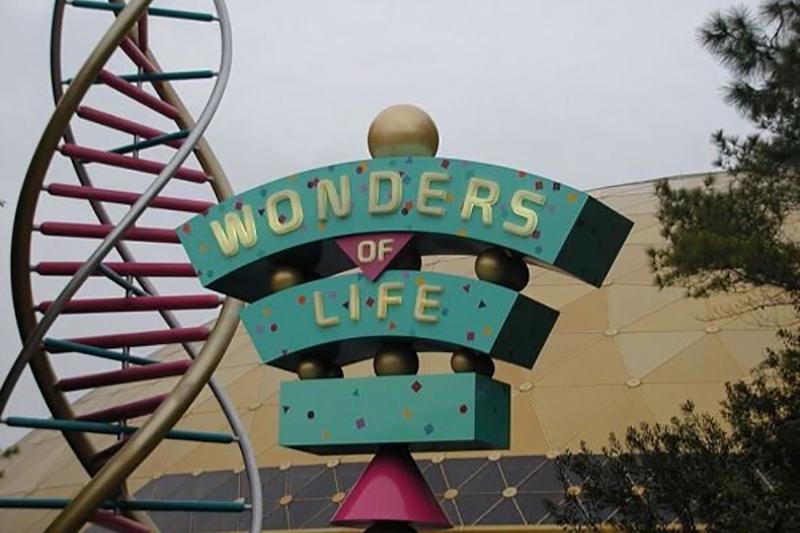 Wonders_of_Life_The_Sad_But_True_Story_of_Epcot_s_-56899 Wonders_of_Life_The_Sad_But_True_Story_of_Epcot_s_-56899