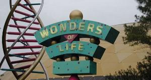 Abandoned Disney Attractions Forgotten Through Time