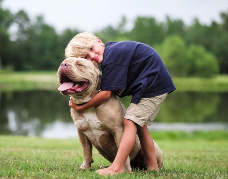 A young boy leans down to hug his pitbull.
