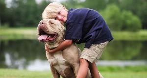 These Dog Breeds Are Known For Their Loyalty