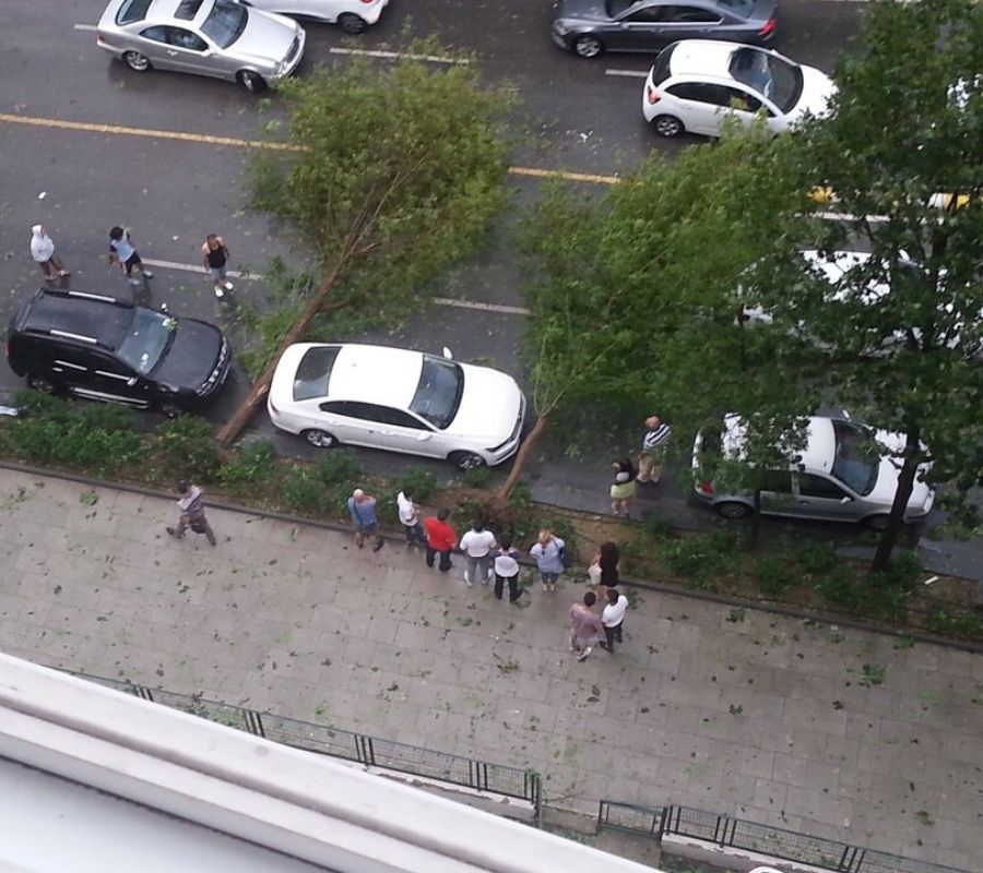 trees fall on both sides of a car without hitting it