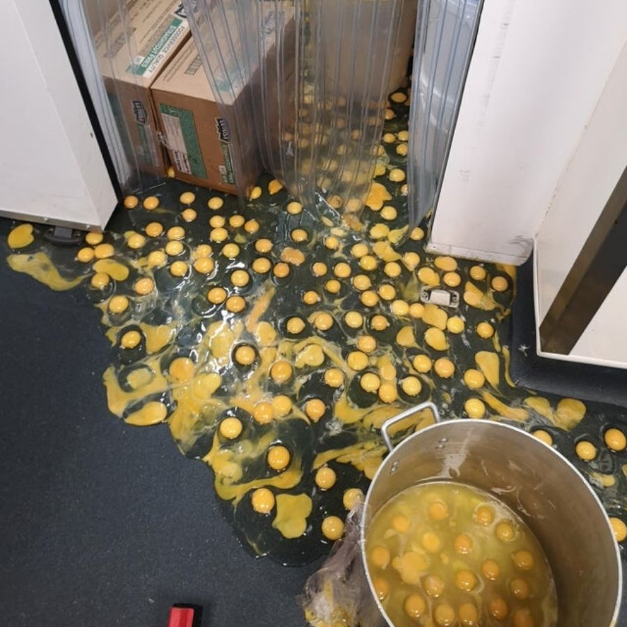 300 eggs dropped on the ground