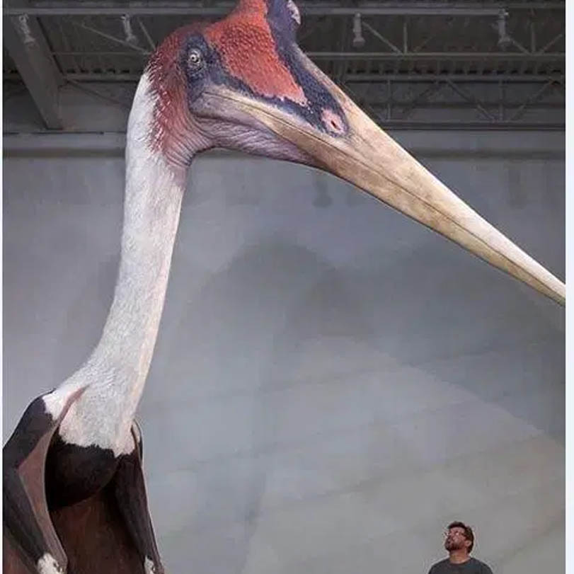 creature 