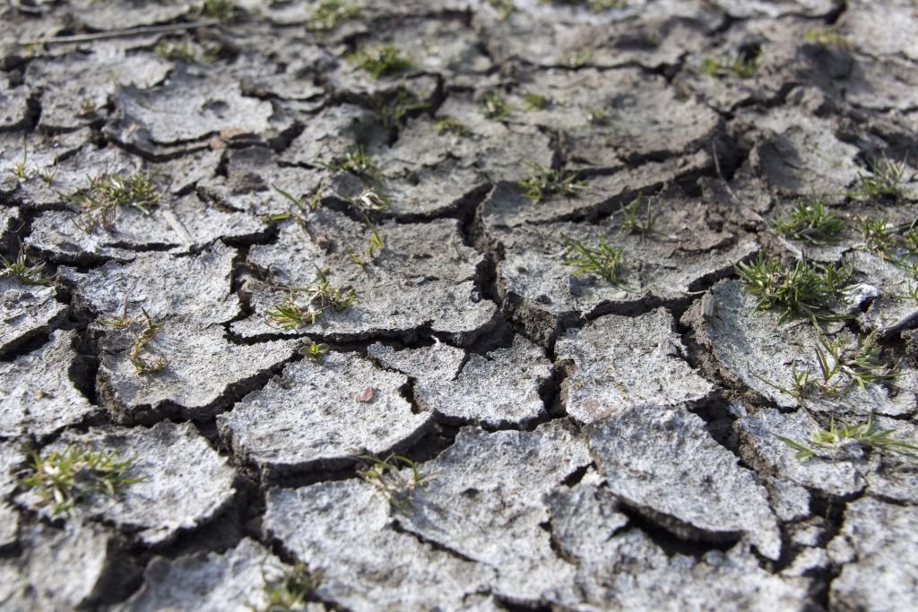 Mud cracked and dried out 