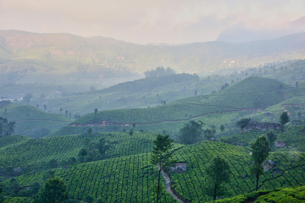 Scenic mountainous view 