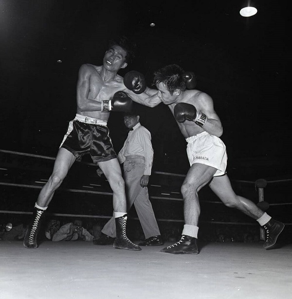 12 Mejores Boxeadores 15