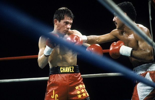 12 Mejores Boxeadores 2