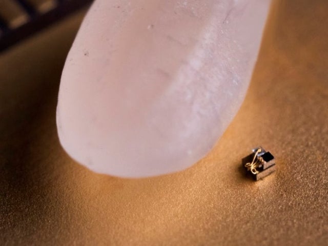 close up image of grain of rice beside world smallest computer