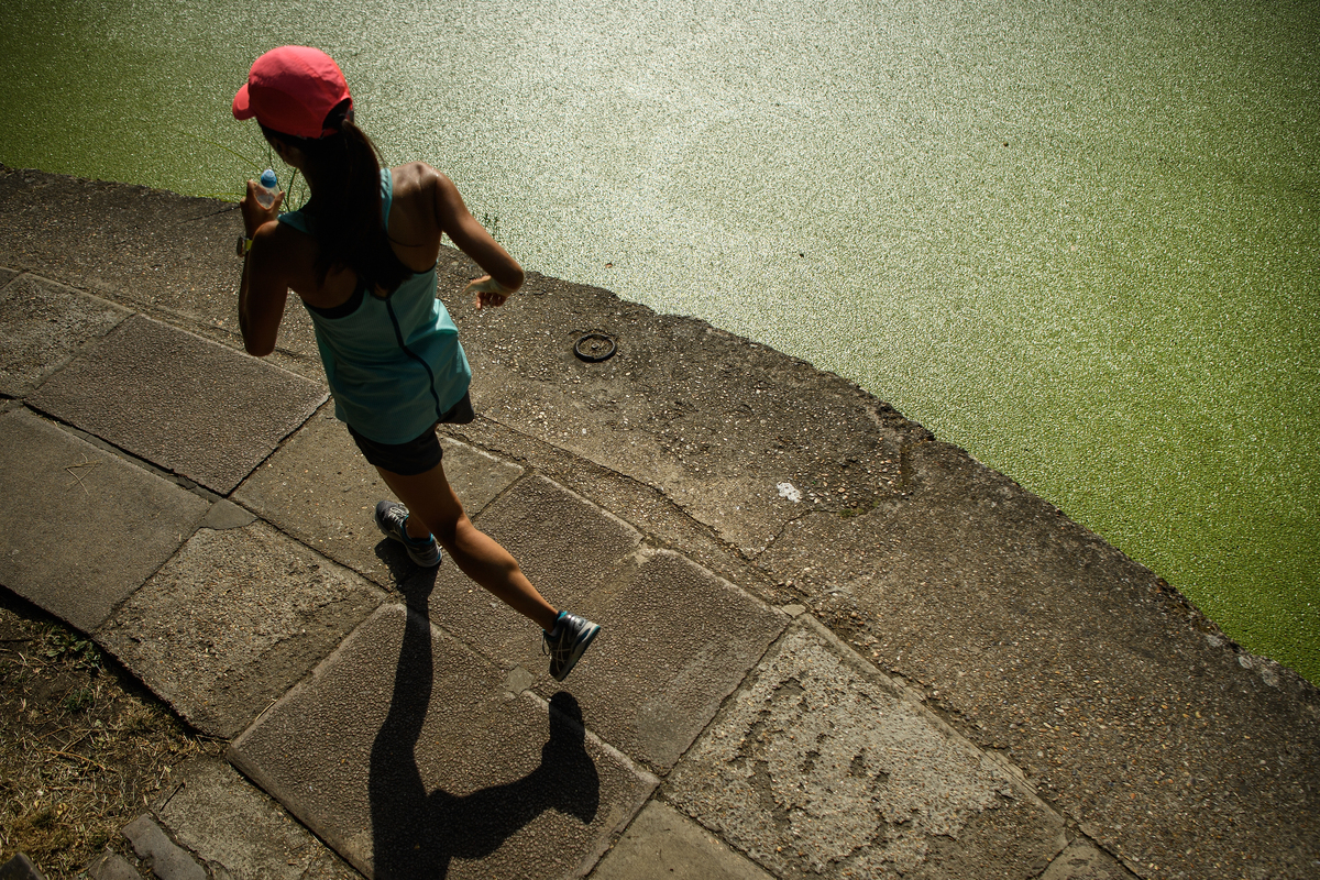A jogger runs past the green coating on Regent's Canal following a huge increase in the amount of duck weed