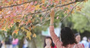 Do Your Research Before Planting One Of These Trees That Might Ruin Your Yard