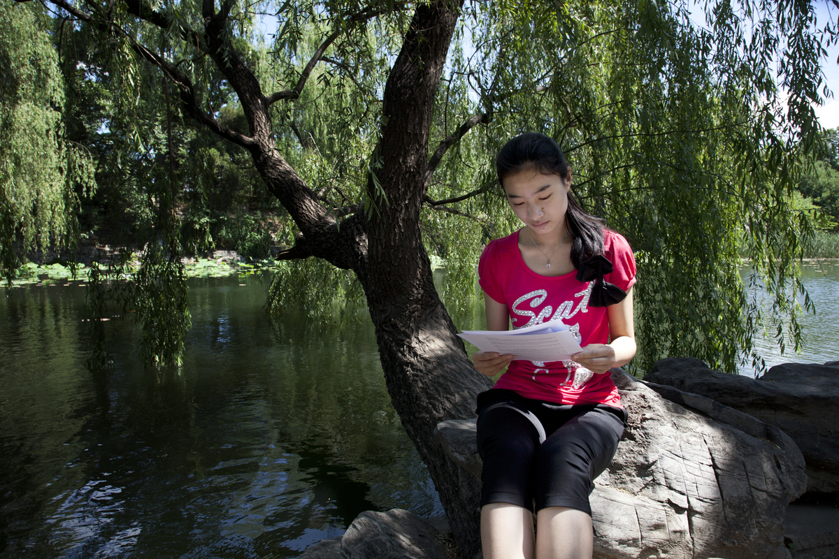 under willow tree - 527440508 Student studies her report under a weeping willow tree