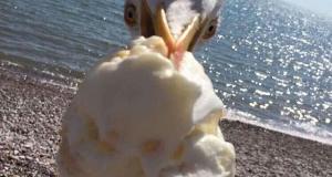 Just A Bunch Of Perfectly Timed Photos That Somehow Got Captured