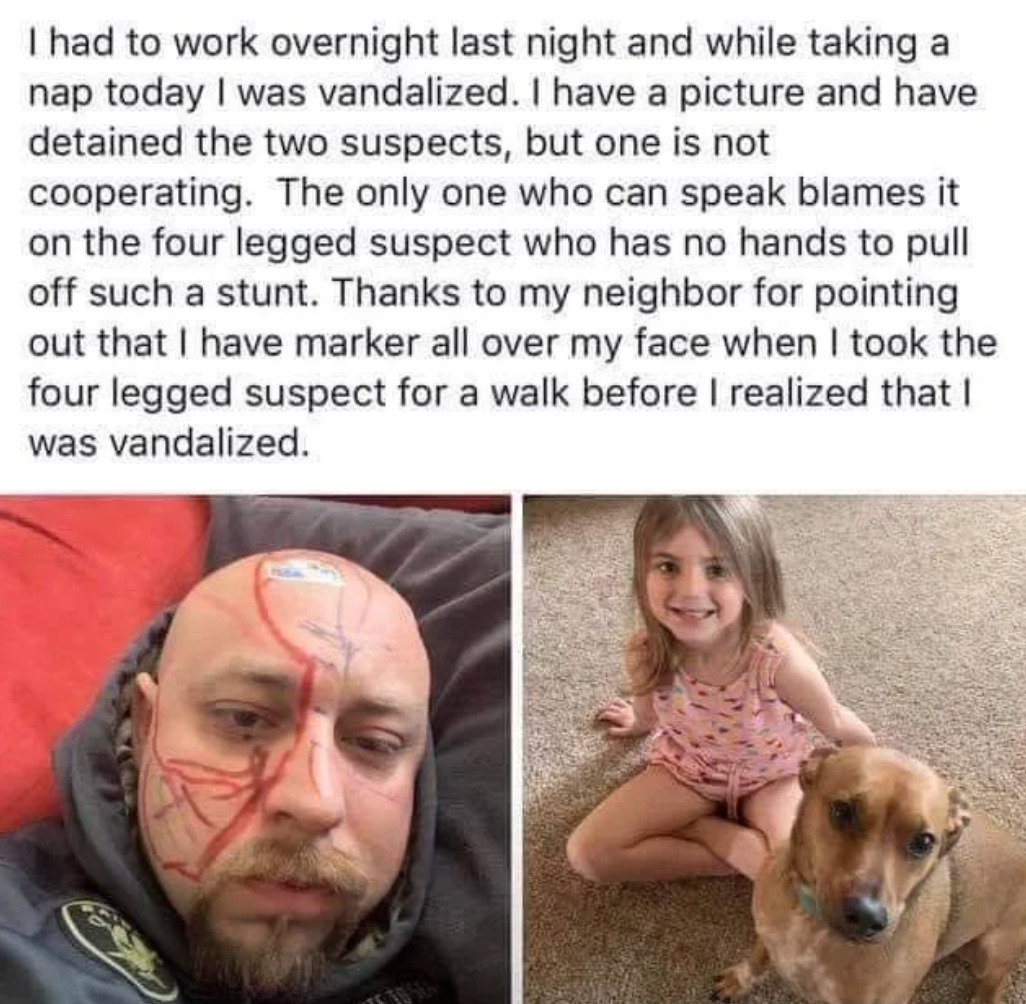 girl blames dog after drawing all over her sleeping dad's face