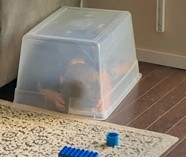 Son Hides under clear rubbermaid container for hide and seek