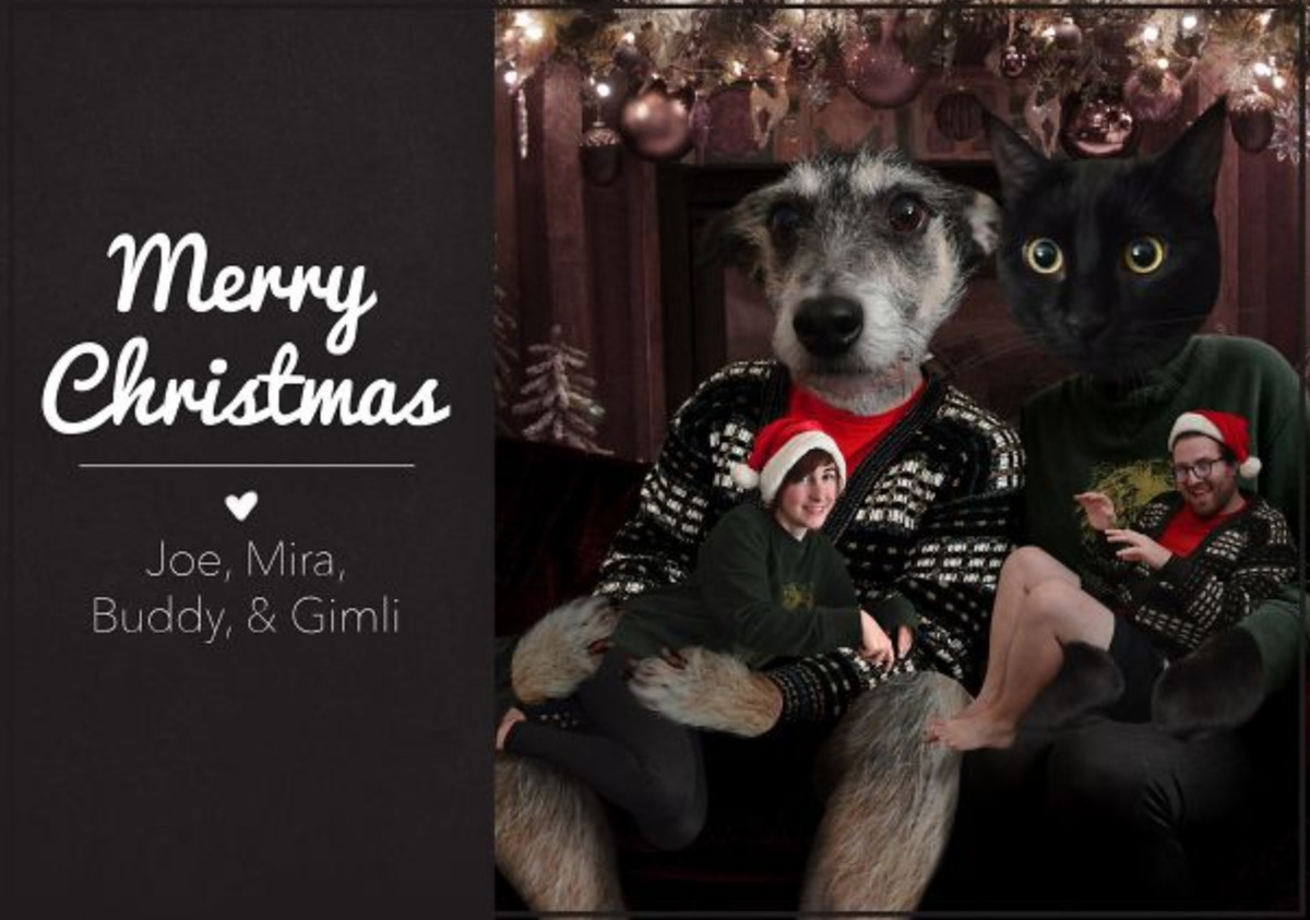 photoshop family photoshops animal heads onto their own, and their heads onto pets'