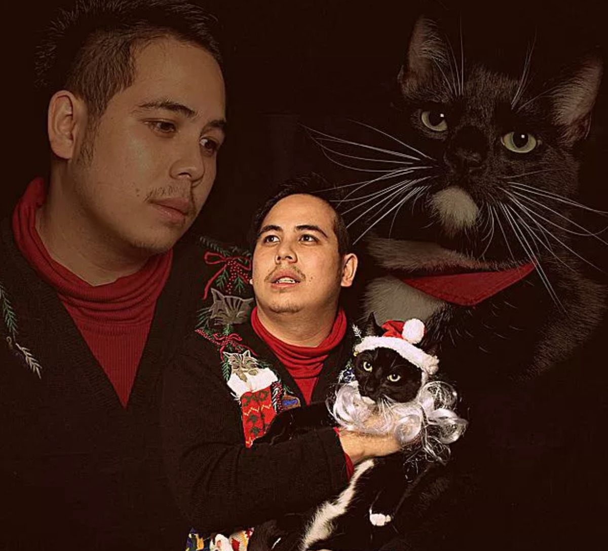 cat man does dramatic christmas card with cat