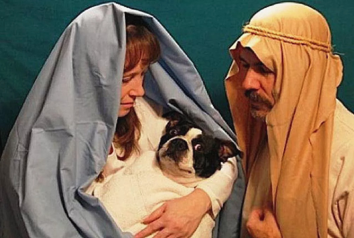 dog jesus couple dressed as mary and joseph while dog is jesus