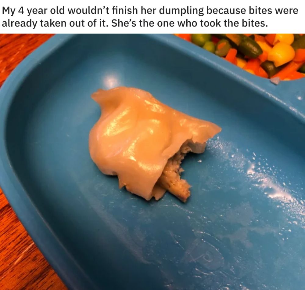 Photo of half eaten dumpling captioned: My 4 year old wouldn't finish her dumpling because bites were already taken out of it. She's the one who took the bites