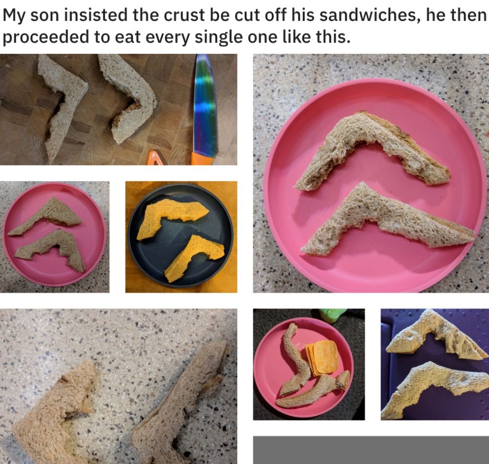 Son who asks for crusts of sandwiches still only eats middle of sandwich and leaves outsides