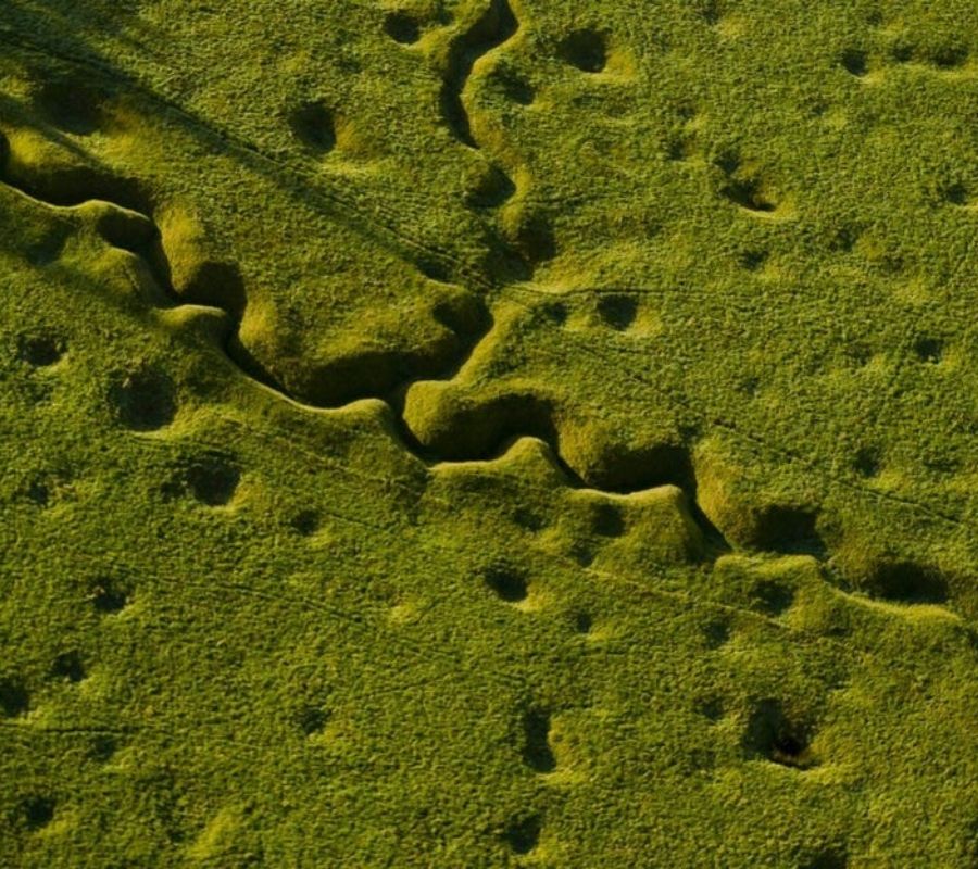 trenches over grown with nature 