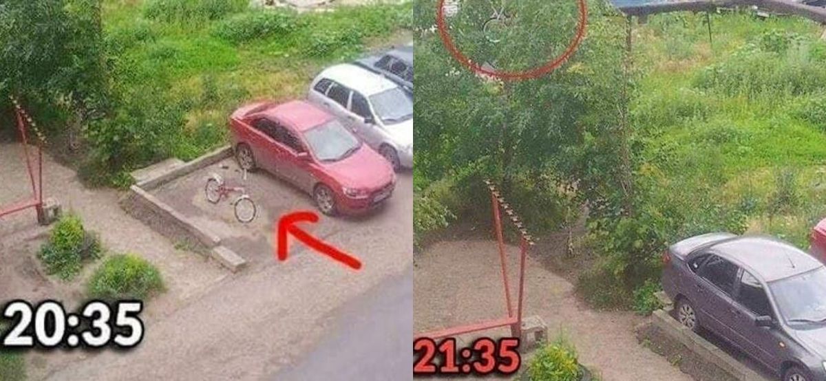 bike stuck in the bushes