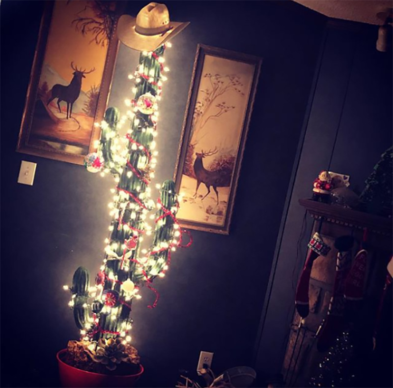 A cactus is decorated like a Christmas tree and topped with a cowboy hat.