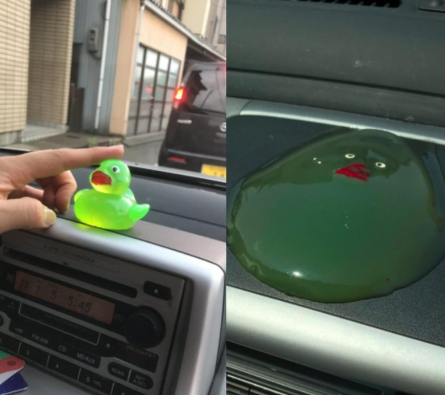 a duck melted on a car dashboard
