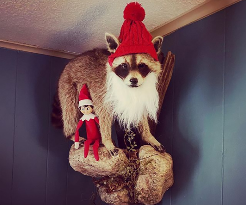 A stuffed racoon is dressed like Santa.