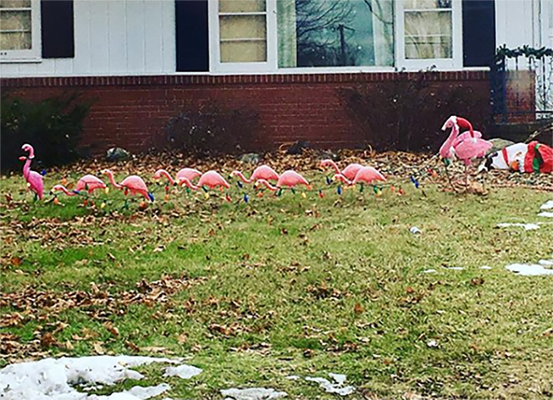 A yard has flamingos lined up like Santa's reindeer on display.