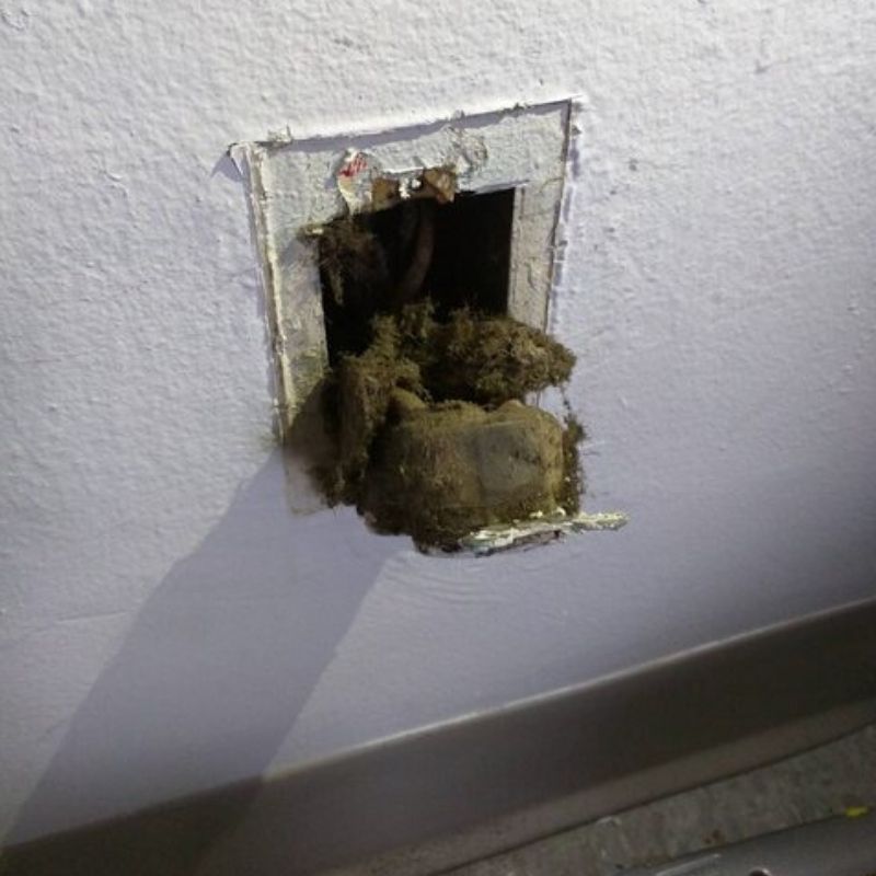 sparking outlet sparking outlet turns out to be moldy inslation